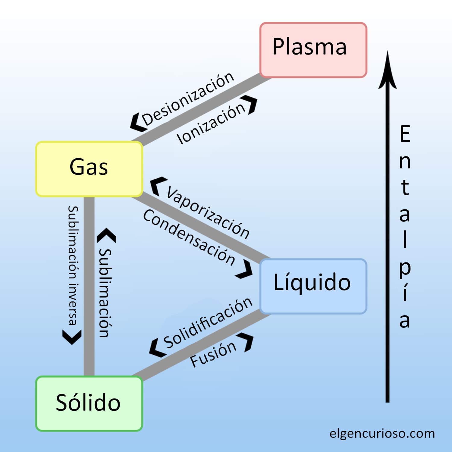 Estados De La Materia - El Gen Curioso